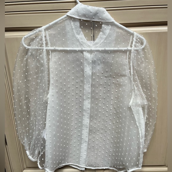 Zara Women’s Tops Semi-Sheer Dot Blouse - Picture 2 of 3